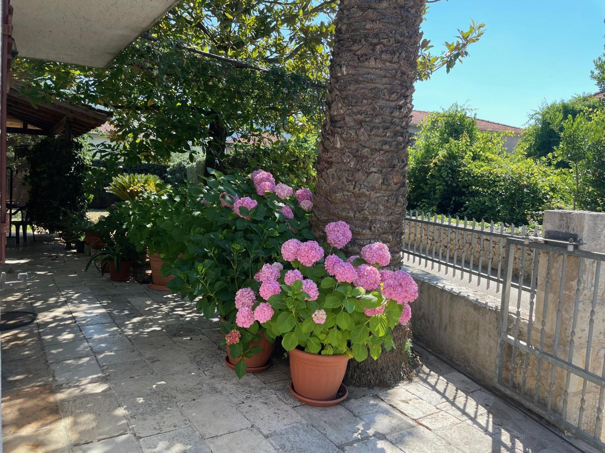 Hvar Guesthouse - Double Bedroom With Private Bathroom 耶尔萨 外观 照片